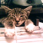 Photo_022009_002