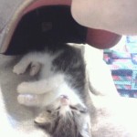 Sleeping after eating